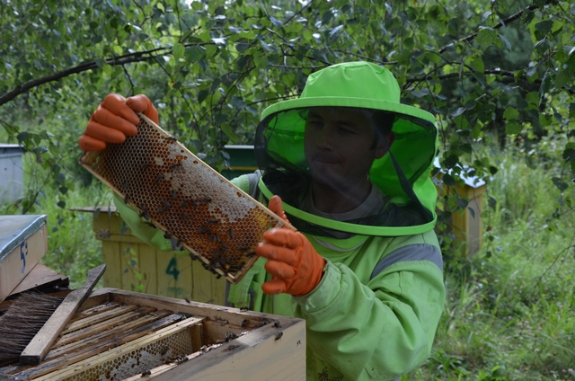 Натуральный мёд со своей пасеки купить